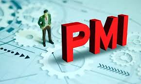 PMI strategy planning